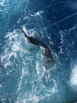 Epic Fishing Co. Mahi Tuna Trolling Lure Six Pack | Epic Fishing Co