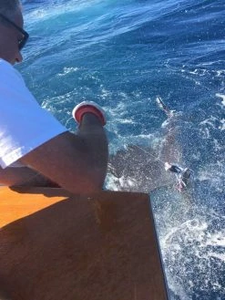 Slant Head 8 Saltwater Trolling Lure | Epic Fishing Co. Trolling Lures