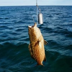 Rigging Tools SeaQualizer SeaYaLater Descending Device